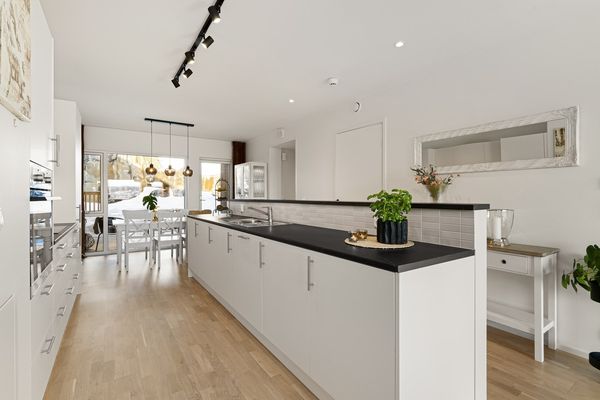 Apartment 20